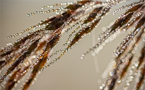 最新读书唯美名句语录大全