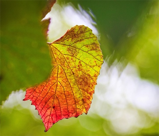 2026早安语录暖心简短精选 早安语录简短