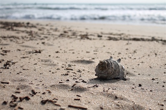 朋友圈晚安语录 简单的晚安朋友圈句子
