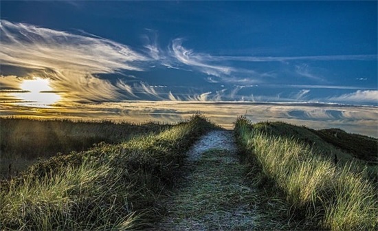 爱情人生经典语录105句