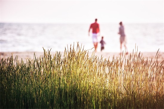 蓝染经典语录44句