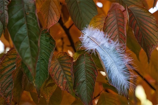 经典励志语录大全 双语经典励志语录大全