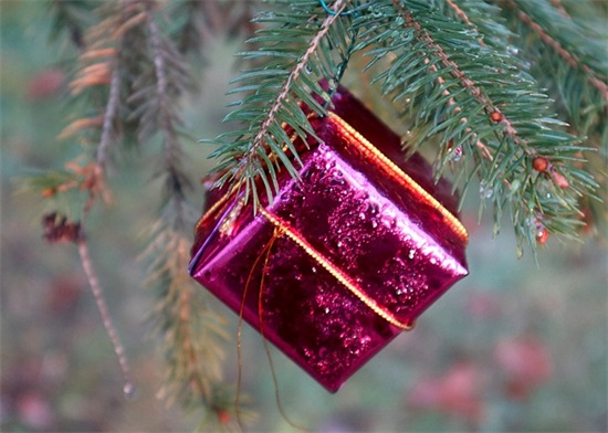 正能量语录的励志qq签名