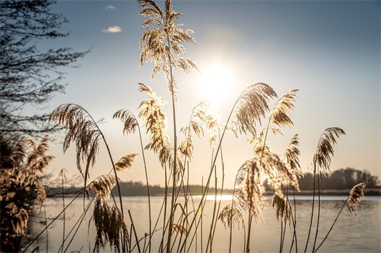 海子爱情诗句经典语录