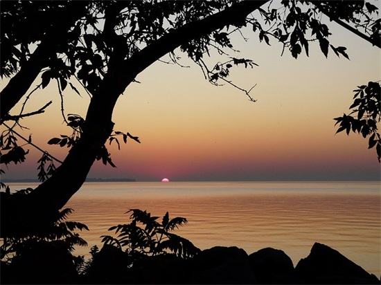 网络经典现实幽默调侃语录