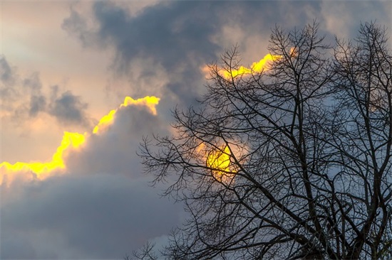 经典书籍里的经典句子(关于书中让人惊艳的语录)