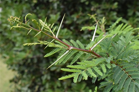每天话心情经典语录