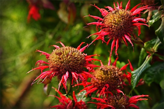 两个字班级口号-59句