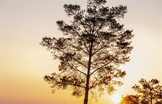 体操口号小学生-57句