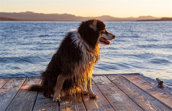 关于花店的口号-86句