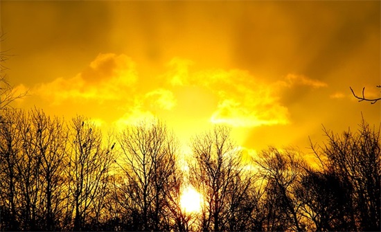 业绩口号大全集-73句