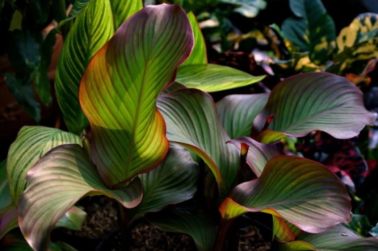 公益类团队口号-79句