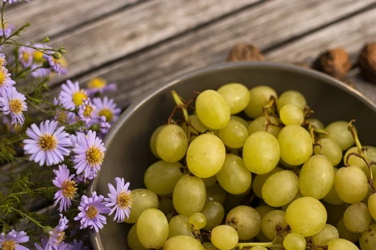 给代理的新年祝福语 【给代理的新年祝福语简短】
