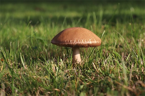 表妹结婚的祝福语用哪些比较好 【表妹结婚说什么祝福语好】