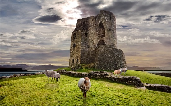 女儿满一周岁的祝福语 宝宝一周岁朋友圈创意