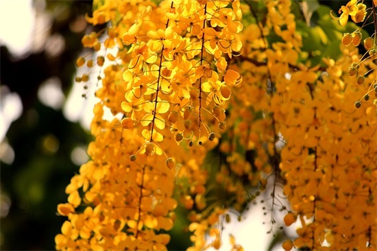 宝宝百天照祝福语2026年(精选45句)