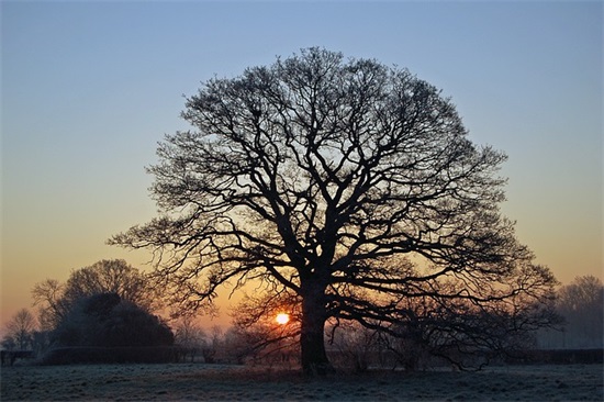 成人礼的励志语录 成人礼励志