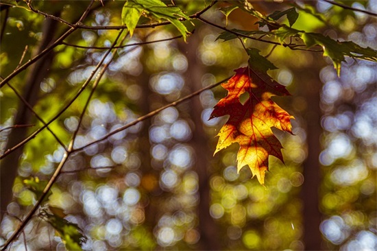 早安打工人朋友圈语录 打工人朋友圈背景图