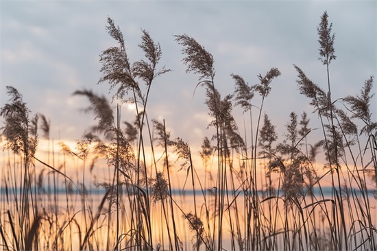 有关四月的励志语录