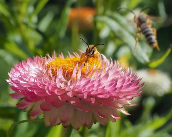 2026年实用的浪漫爱情语录