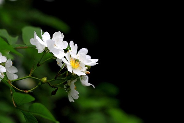 责任的句子92句
