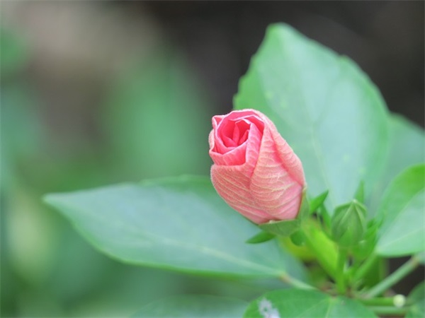 爱情甜蜜的句子120句
