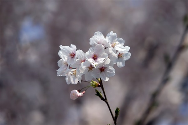 祝自己生日快乐特别一点的句子(祝自己生日快乐的句子)