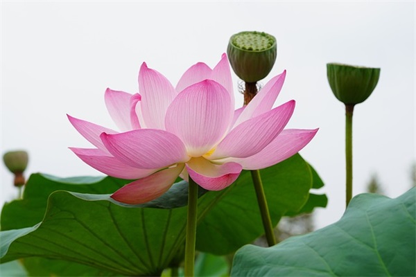 温馨的安全标语121句