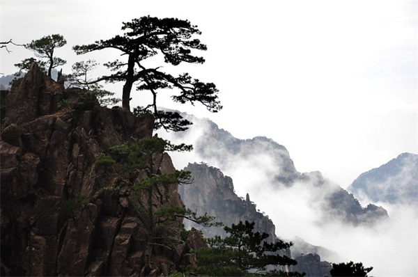清明时节踏青寄语2025年
