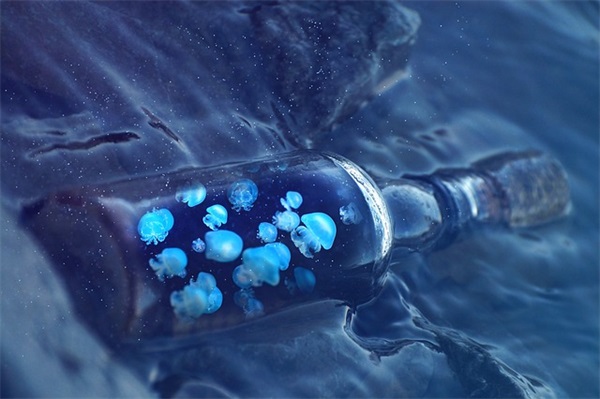 老师给学生的寄语