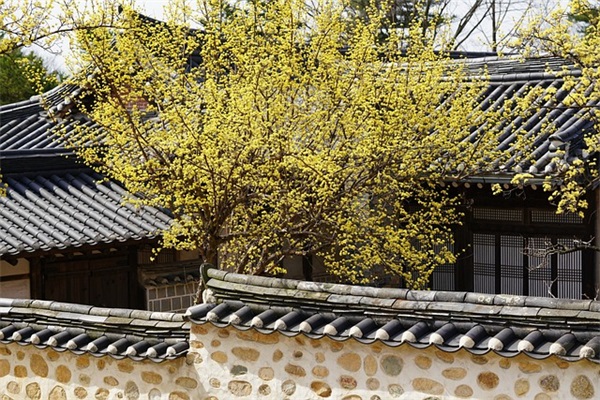 图书室标语100句