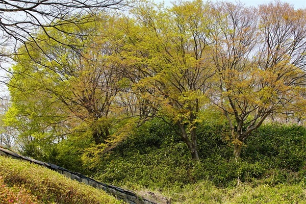 房产销售个人口号 房产销售早会口号
