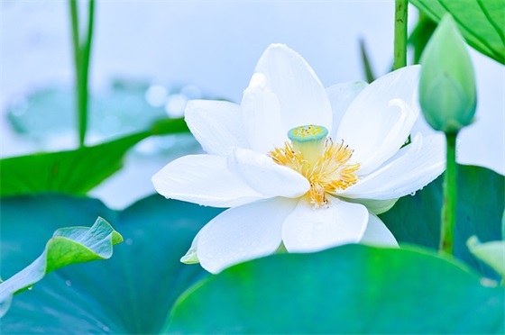 老师给学生的初中毕业寄语和期望 【老师给学生的初中毕业寄语和期望简短】