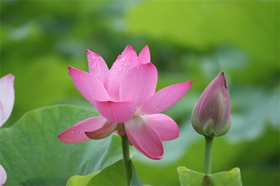 简短的未来寄语 【简短的未来寄语情话】