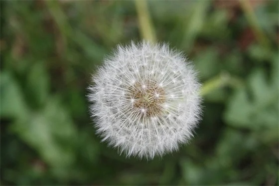 孩子十岁生日寄语简短 【孩子十岁生日寄语简短精辟】