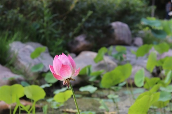 中考老师寄语鼓励的话-100句