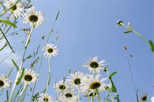 简单好听的2的网名