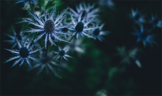 早安祝福语大全 早晨早安语录