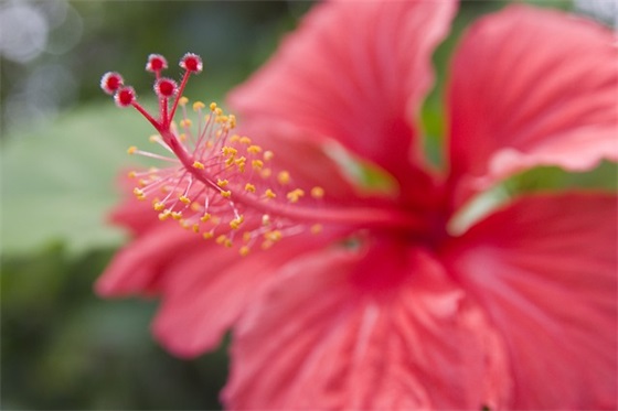 中秋佳节送礼说的祝福语2025 中秋节佳节的祝福语