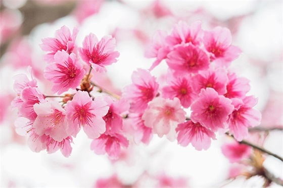 中秋节感恩祝福语大全简短字精选