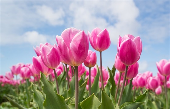 教师节送给祝福文案 教师节祝福文案短句干净