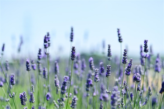 五四青年节简短祝福语 五四青年节简语