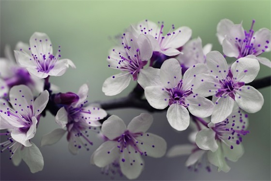 中秋节公司祝福语53句